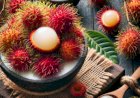 The Delicious and Nutrient-Packed Rambutan: A Tropical Treat